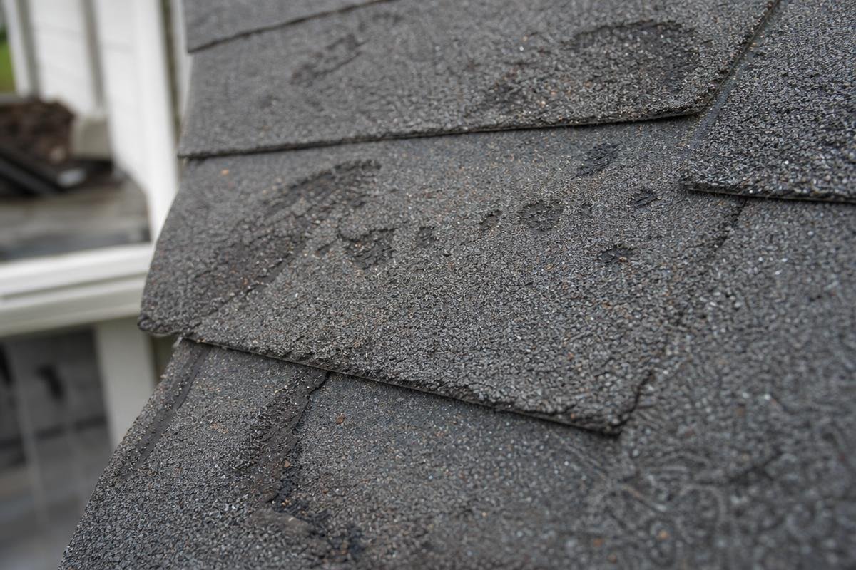 hail damaged asphalt shingles with granule loss, storm damage roof Spartanburg